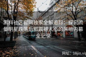 黑料社区官网独家全解追踪：探究流量明星跌落后那震撼人心的黑暗内幕全记录