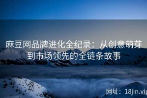 麻豆网品牌进化全纪录：从创意萌芽到市场领先的全链条故事