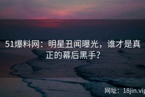 51爆料网：明星丑闻曝光，谁才是真正的幕后黑手？