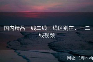 国内精品一线二线三线区别在，一二线视频