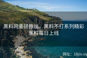 黑料网重磅推出，黑料不打系列精彩黑料每日上线