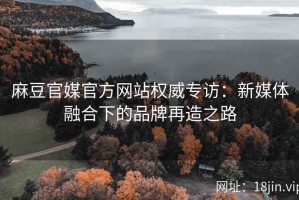 麻豆官媒官方网站权威专访：新媒体融合下的品牌再造之路
