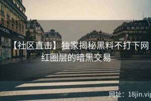 【社区直击】独家揭秘黑料不打下网红圈层的暗黑交易