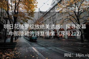 明日花绮罗绽放绝美诱惑：探寻夜幕中那隐藏的诗意情愫（序号212）