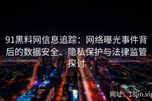 91黑料网信息追踪：网络曝光事件背后的数据安全、隐私保护与法律监管探讨