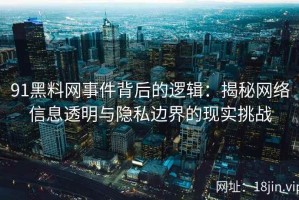 91黑料网事件背后的逻辑：揭秘网络信息透明与隐私边界的现实挑战