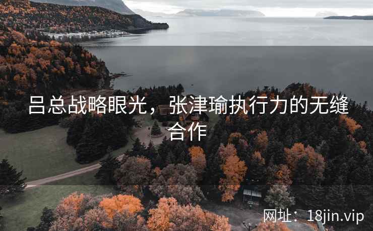 吕总战略眼光，张津瑜执行力的无缝合作