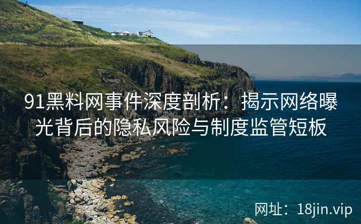 91黑料网事件深度剖析：揭示网络曝光背后的隐私风险与制度监管短板