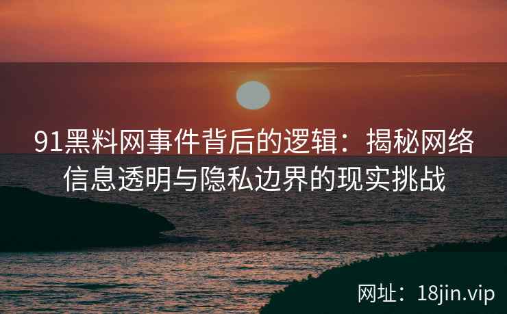 91黑料网事件背后的逻辑：揭秘网络信息透明与隐私边界的现实挑战